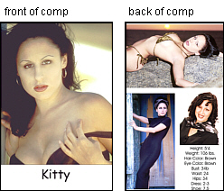 modeling composite card sample